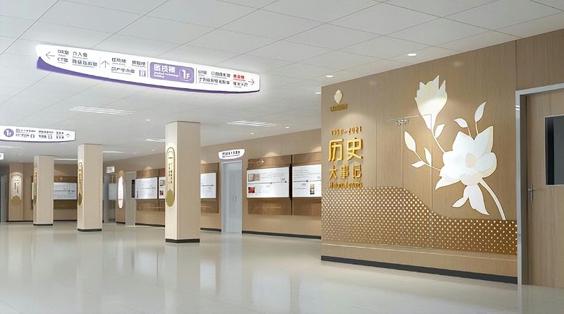 「醫院LOGO」醫院處境標志導向系統策劃重點2