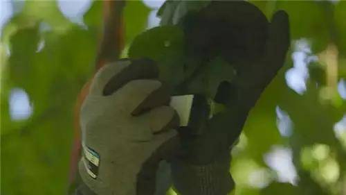 唯獨這些抓人眼球的戶外標識才配叫創意！廣告主也滿意10
