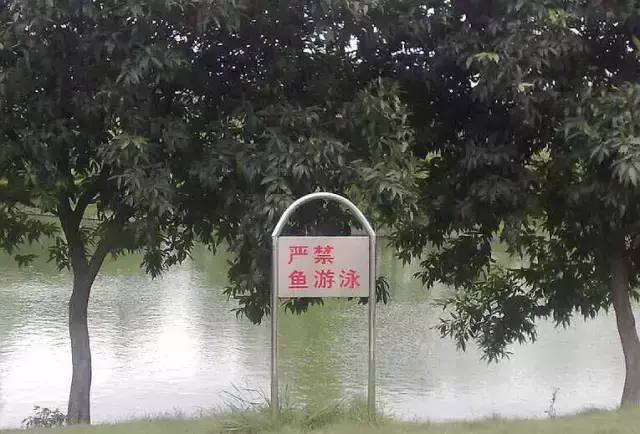 這些沙雕招牌廣告標語，讓我站路邊笑了半天停不下來23