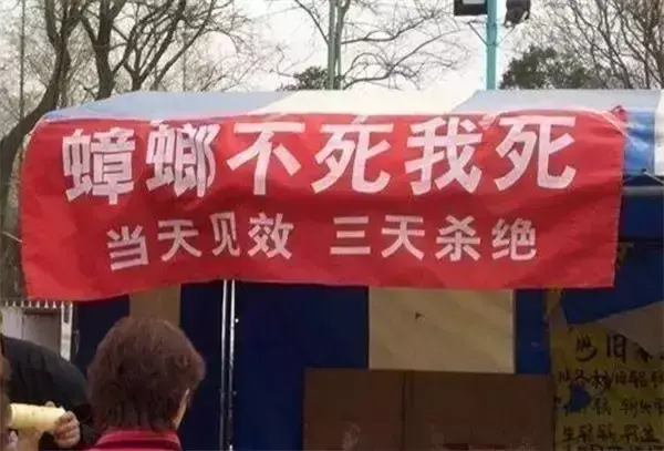 這些沙雕招牌廣告標語，讓我站路邊笑了半天停不下來17
