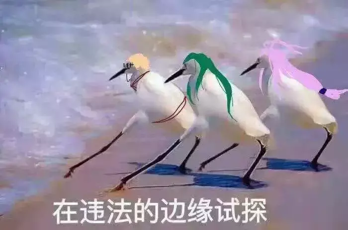 中國路邊的做燈箱廣告牌，我能笑一年