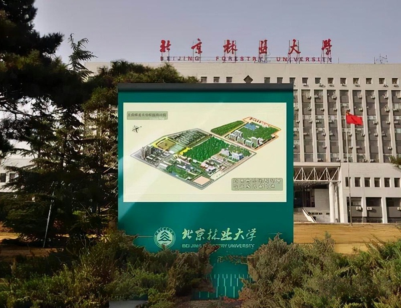 “為人而生”的都市導向標志設計